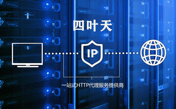 【陵水代理IP】代理IP的主要用途和使用注意事项